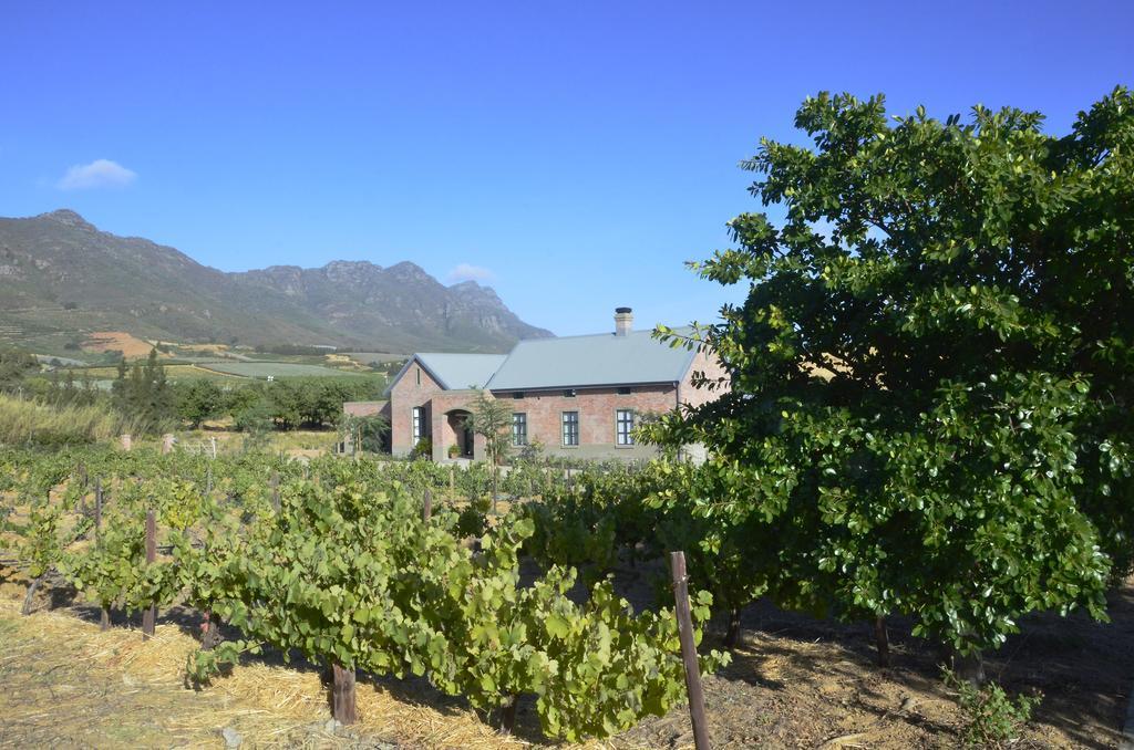 Vineyard Views Country House Riebeek-Kasteel Exteriér fotografie