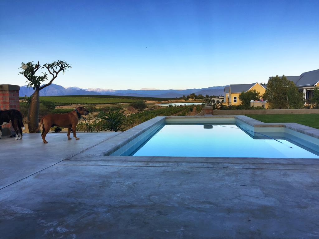 Vineyard Views Country House Riebeek-Kasteel Exteriér fotografie