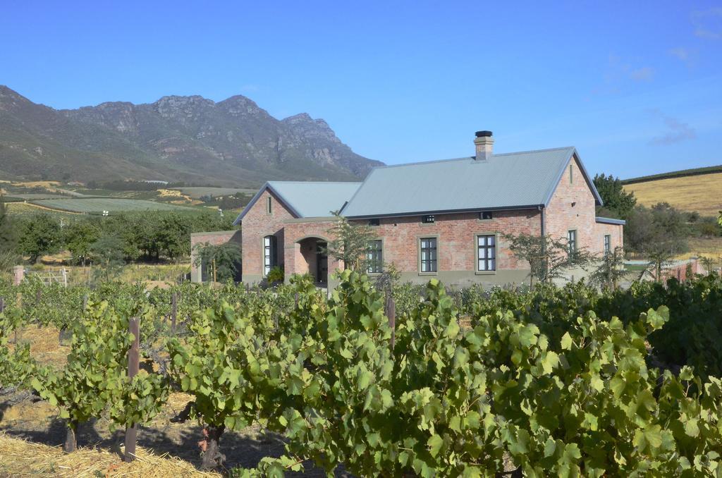 Vineyard Views Country House Riebeek-Kasteel Exteriér fotografie