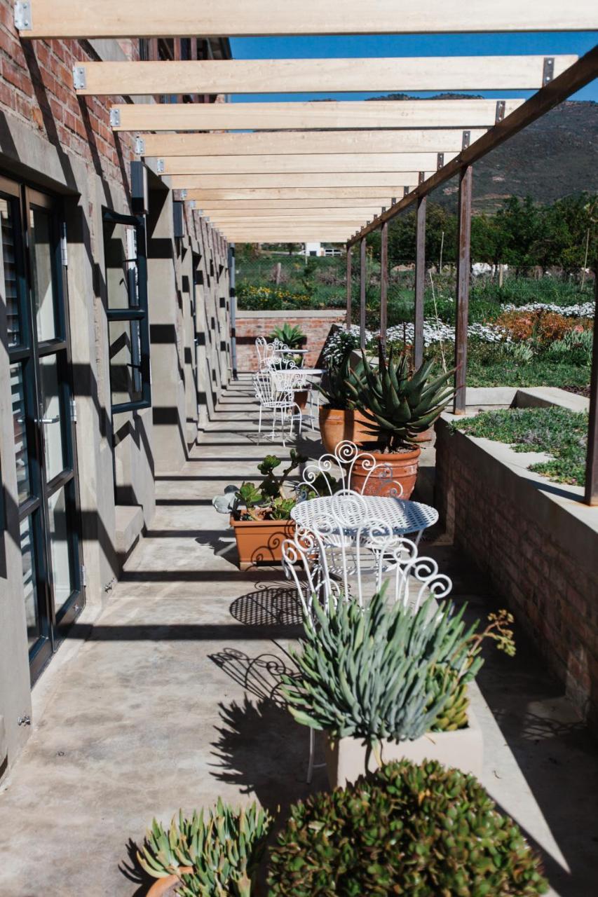 Vineyard Views Country House Riebeek-Kasteel Exteriér fotografie