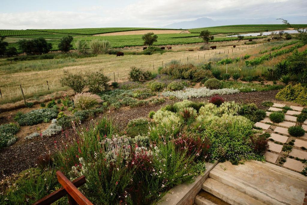Vineyard Views Country House Riebeek-Kasteel Exteriér fotografie