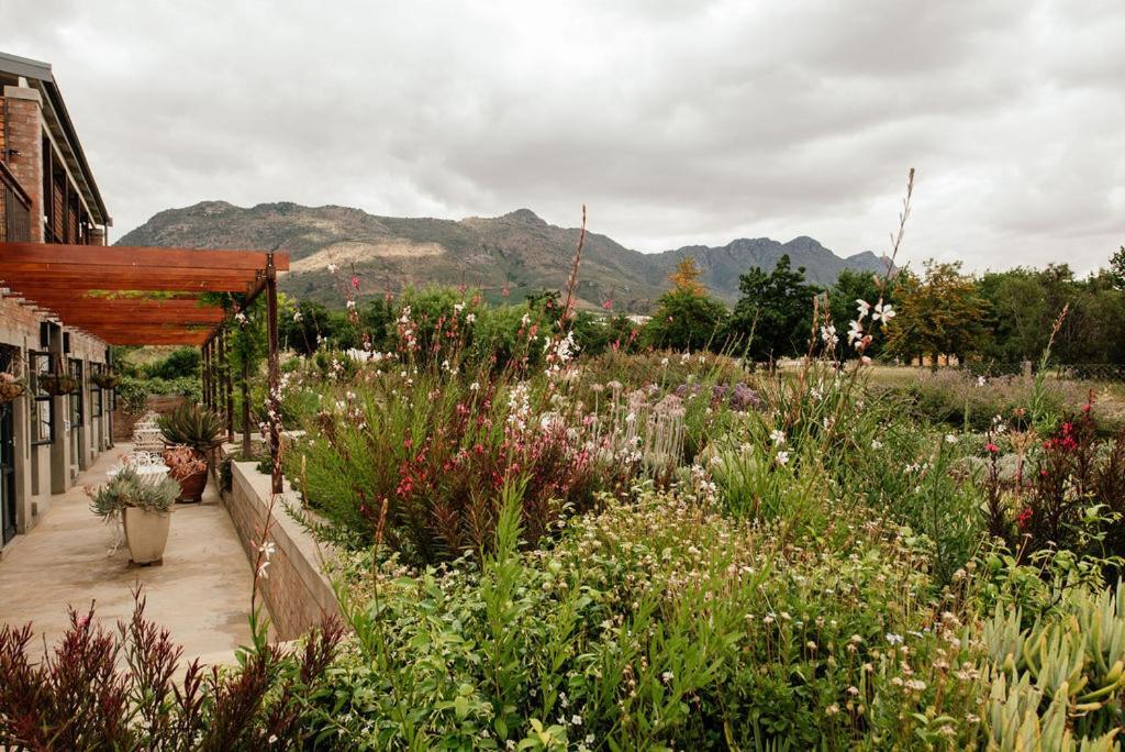 Vineyard Views Country House Riebeek-Kasteel Exteriér fotografie