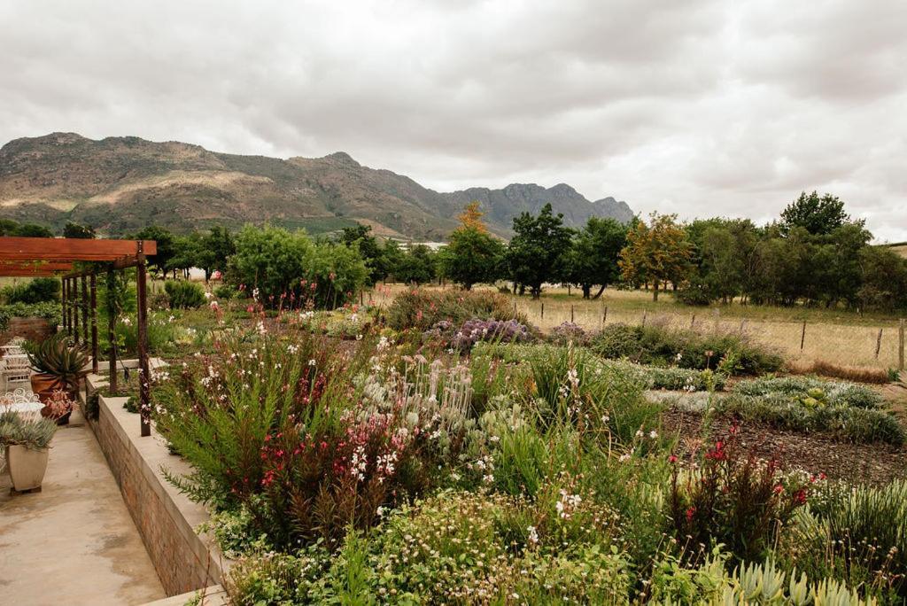 Vineyard Views Country House Riebeek-Kasteel Exteriér fotografie