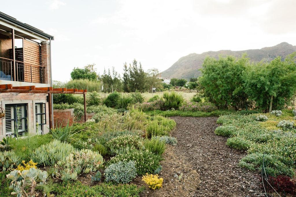 Vineyard Views Country House Riebeek-Kasteel Exteriér fotografie