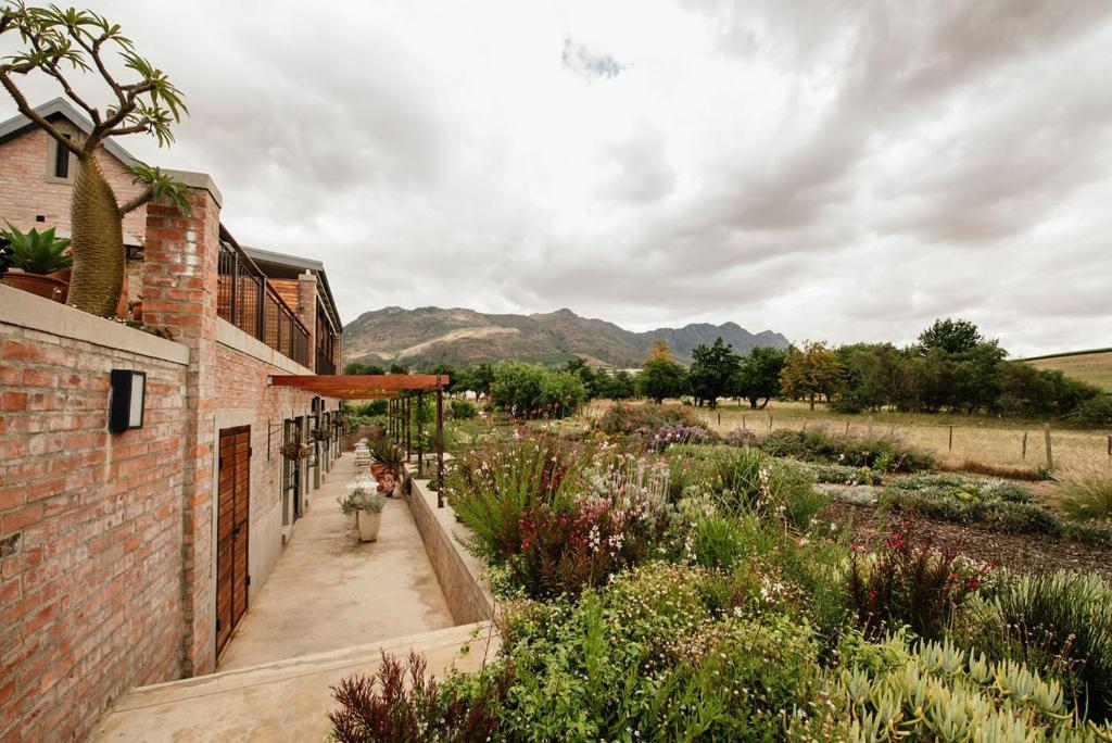 Vineyard Views Country House Riebeek-Kasteel Exteriér fotografie