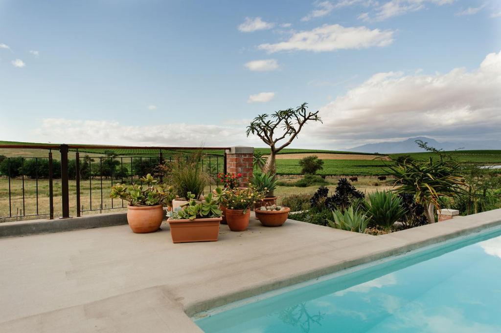 Vineyard Views Country House Riebeek-Kasteel Exteriér fotografie